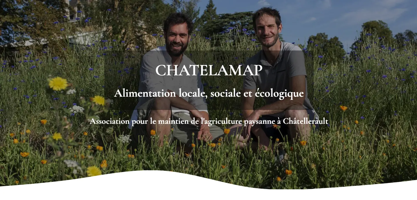 ChatelAmap